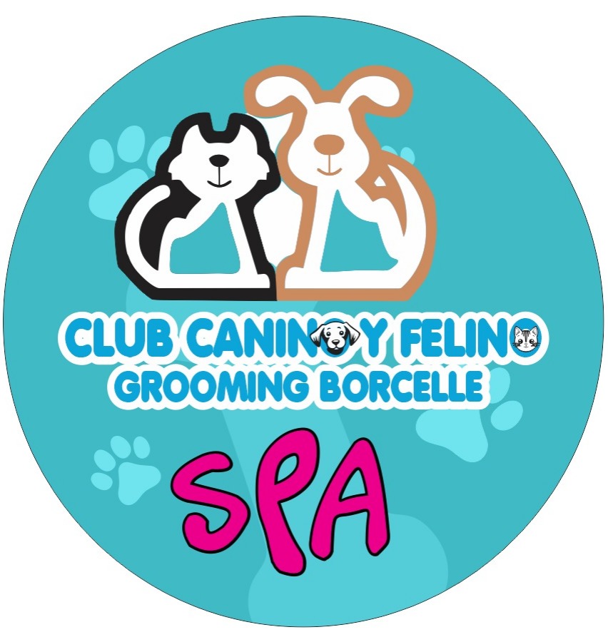 Logo Spa
